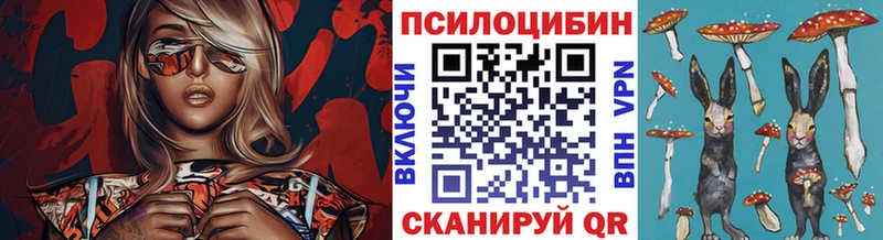 Галлюциногенные грибы Psilocybe  Зверево 