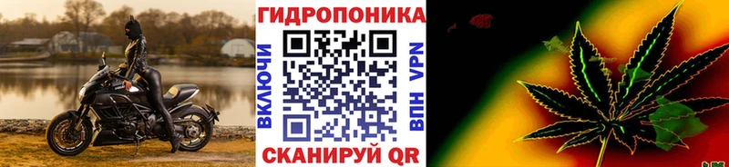 сайты даркнета как зайти  блэк спрут ССЫЛКА  Зверево  МАРИХУАНА планчик 
